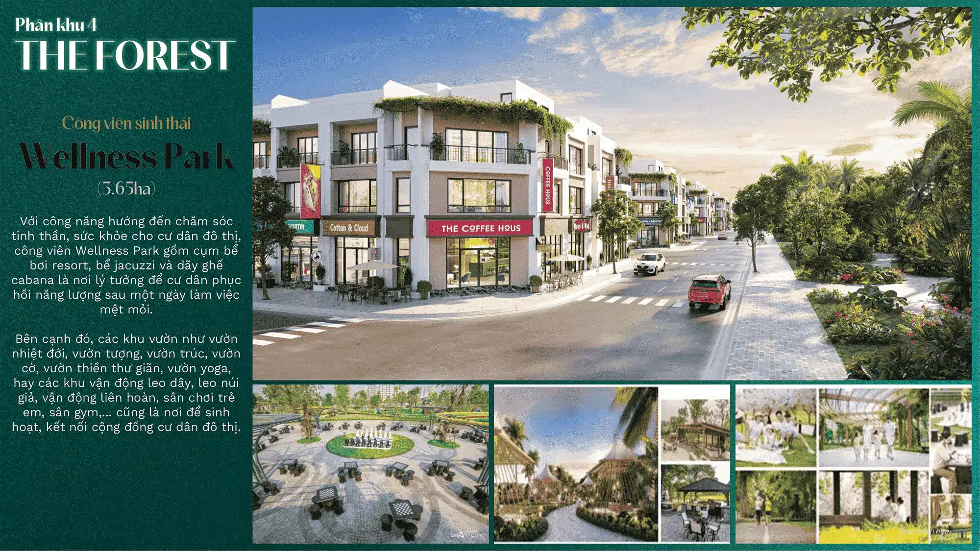 Tân Hương Phát Property